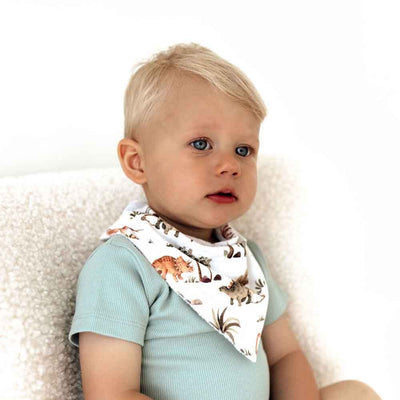 Dino Dribble Bib | Organic