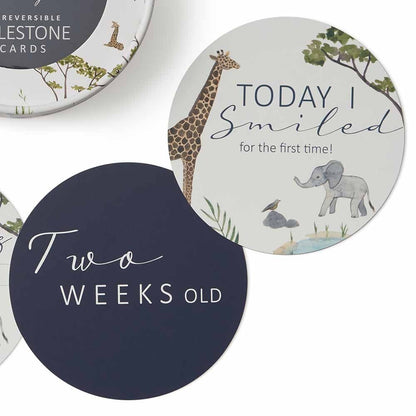 Safari &amp; Navy Reversible Milestone Cards